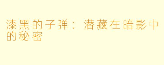 漆黑的子弹：潜藏在暗影中的秘密