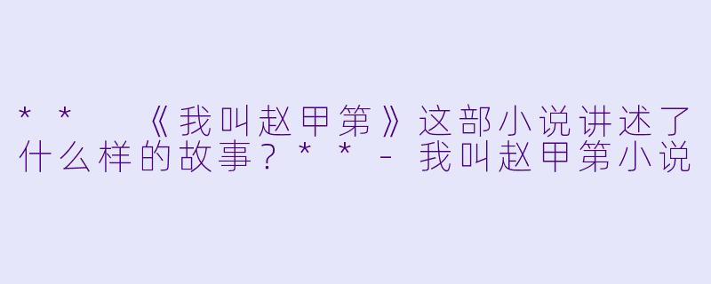** 《我叫赵甲第》这部小说讲述了什么样的故事?**