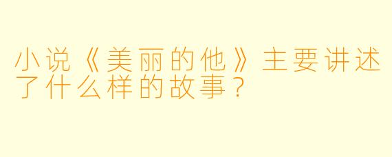 小说《美丽的他》主要讲述了什么样的故事?