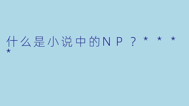 什么是小说中的NP?****