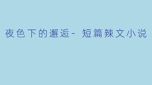 夜色下的邂逅