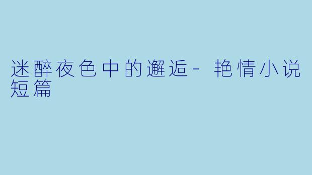 迷醉夜色中的邂逅-艳情小说短篇
