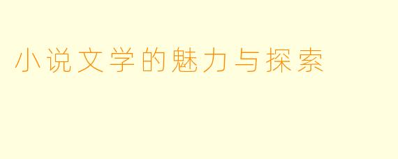 小说文学的魅力与探索