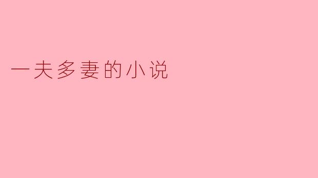 一夫多妻的小说