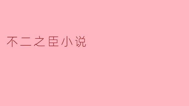不二之臣小说主要讲述了什么样的故事?