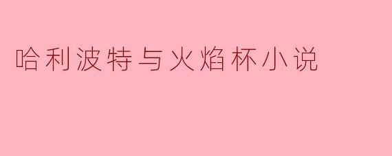 哈利波特与火焰杯小说