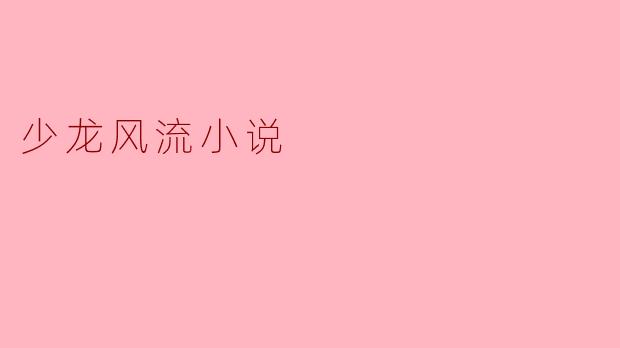 少龙风流小说