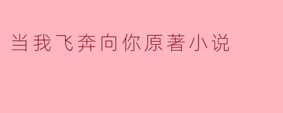 当我飞奔向你原著小说