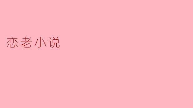 恋老小说