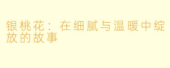 银桃花：在细腻与温暖中绽放的故事