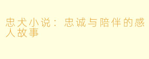 忠犬小说:忠诚与陪伴的感人故事