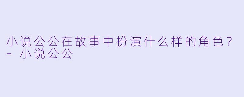 小说公公在故事中扮演什么样的角色？