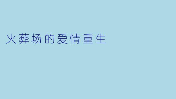 火葬场的爱情重生