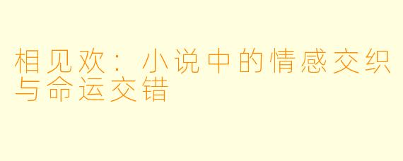 相见欢：小说中的情感交织与命运交错