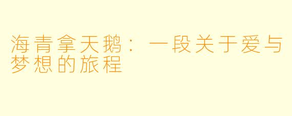 海青拿天鹅：一段关于爱与梦想的旅程
