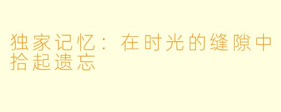 独家记忆：在时光的缝隙中拾起遗忘
