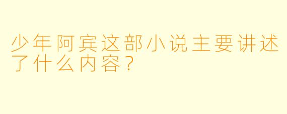 少年阿宾这部小说主要讲述了什么内容?