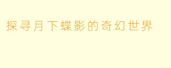 探寻月下蝶影的奇幻世界