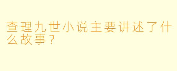 查理九世小说主要讲述了什么故事？