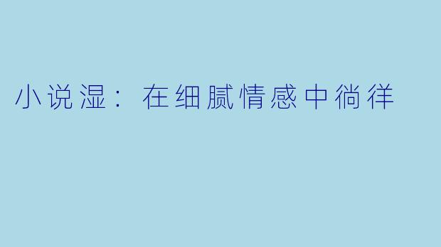 小说湿：在细腻情感中徜徉