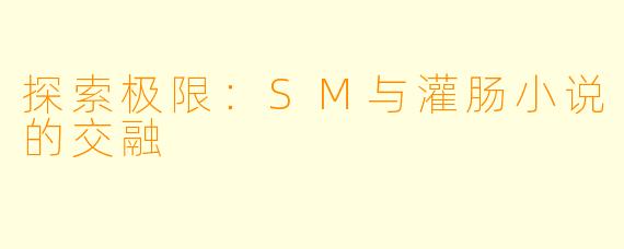 探索极限：SM与灌肠小说的交融