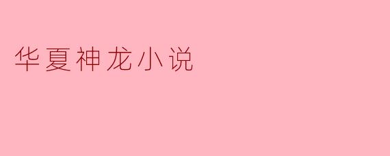华夏神龙小说