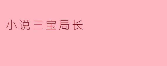 小说三宝局长