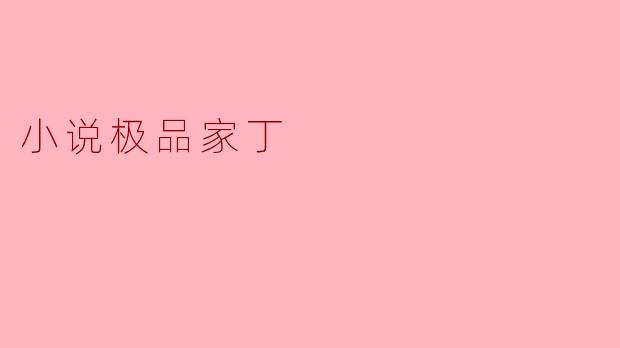 ** 《极品家丁》的主要故事情节是什么?**