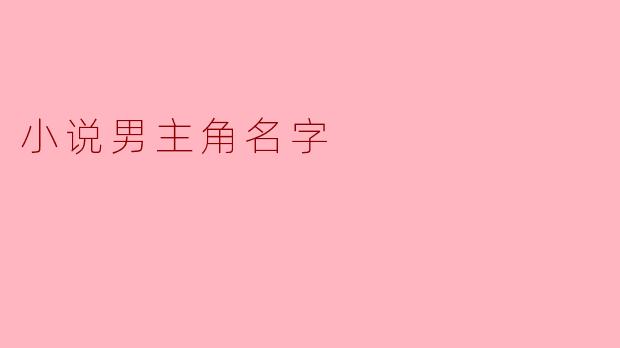 小说男主角名字