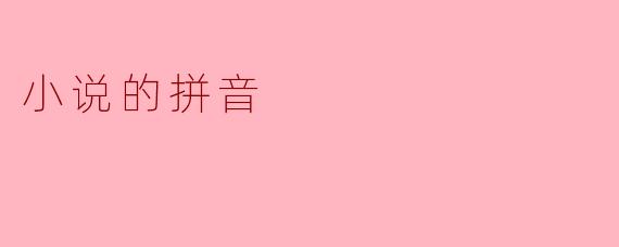 小说的拼音