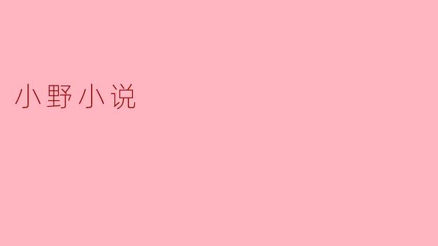 小野小说