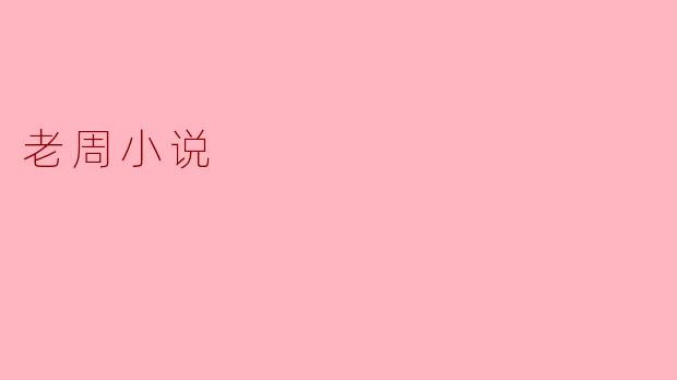 老周小说