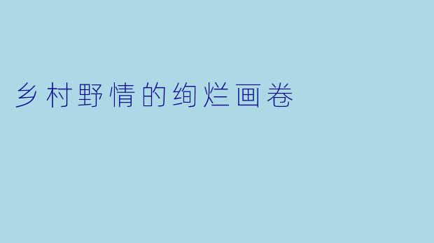 乡村野情的绚烂画卷