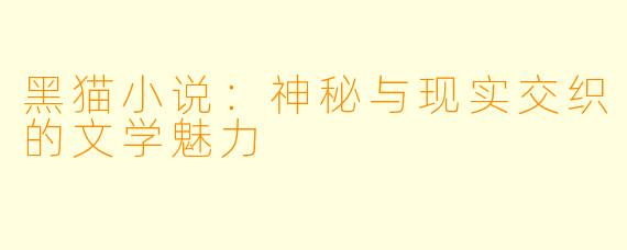 黑猫小说：神秘与现实交织的文学魅力