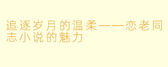 追逐岁月的温柔——恋老同志小说的魅力