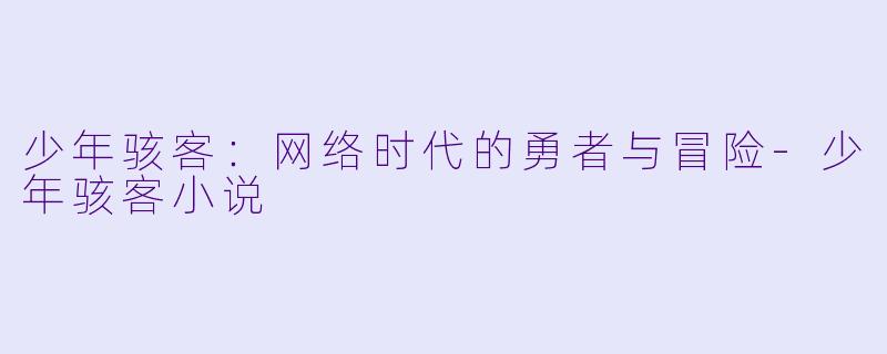 少年骇客:网络时代的勇者与冒险