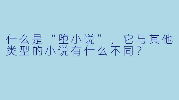什么是“堕小说”,它与其他类型的小说有什么不同?