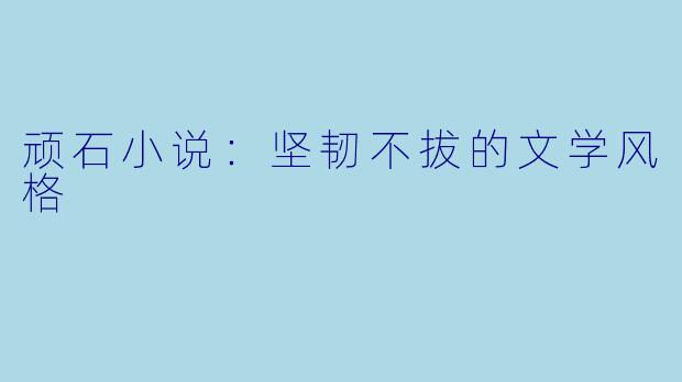 顽石小说：坚韧不拔的文学风格