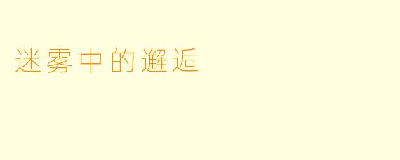 迷雾中的邂逅