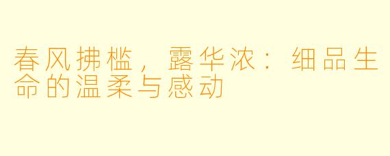 春风拂槛，露华浓：细品生命的温柔与感动