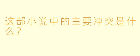 这部小说中的主要冲突是什么？  