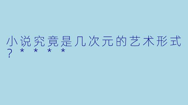 小说究竟是几次元的艺术形式？****