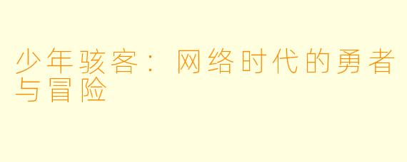 少年骇客:网络时代的勇者与冒险