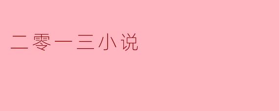二零一三小说