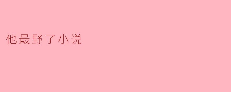 小说《他最野了》主要讲述了什么故事？