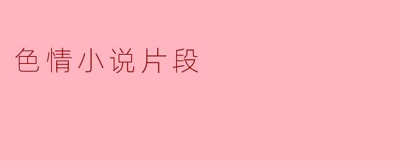 色情小说的片段通常包含哪些元素?