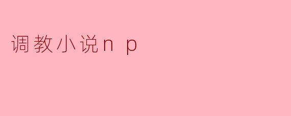 调教小说np