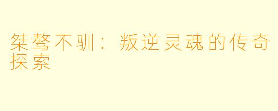 桀骜不驯：叛逆灵魂的传奇探索