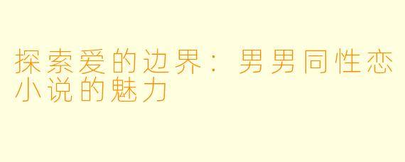 探索爱的边界：男男同性恋小说的魅力
