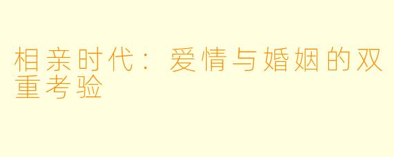 相亲时代:爱情与婚姻的双重考验